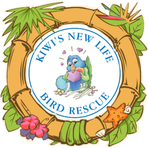 Kiwis New Life Bird Rescue Logo